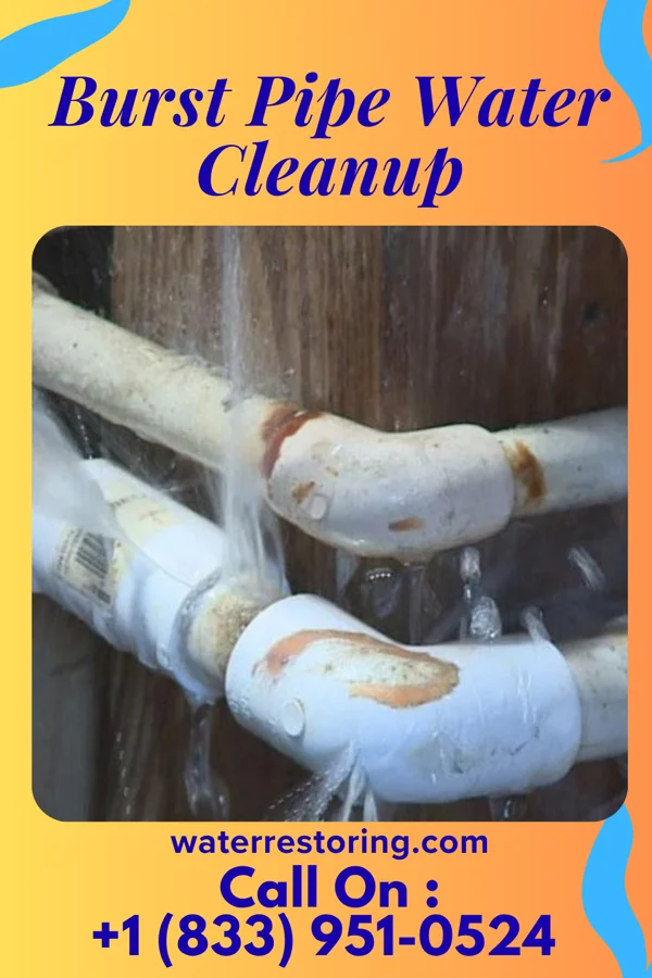Burst Pipe Water Cleanup in Philipsburg, PA
