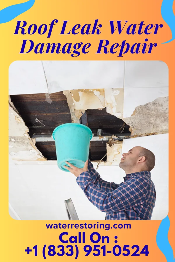 Roof Leak Water Damage Repair in Philipsburg, PA