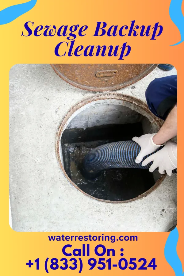 Sewage Backup Cleanup in Philipsburg, PA