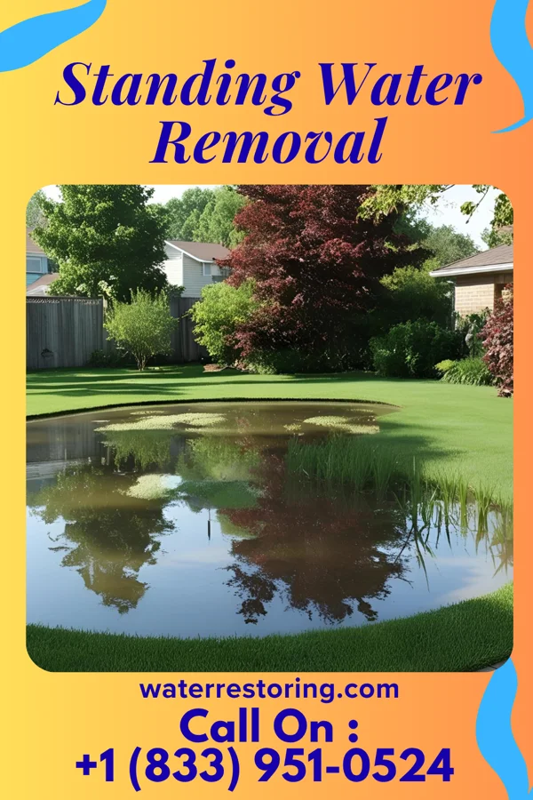 Standing Water Removal in Philipsburg, PA